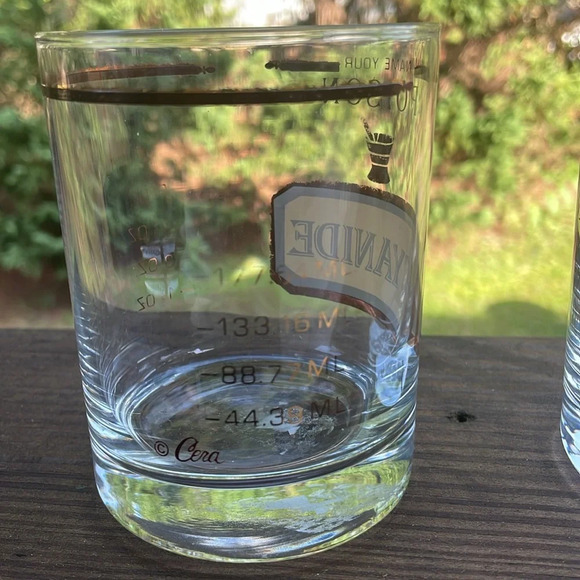 Vintage MCM Cera NAME YOUR POISON Cocktail / High Ball Glasses Whiskey Set 2 - Picture 3 of 6